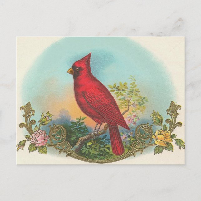 Red Bird Postkarte (Vorderseite)