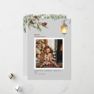 Red Bird Winter Foliage Foto Weihnachten 