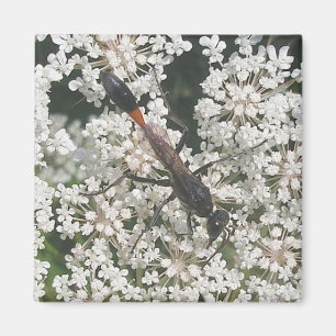 Red & Black Wasp Magnet