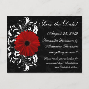 Red+Black+White Gerbera Daisy Save the Date Ankündigungspostkarte