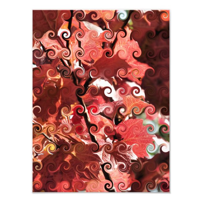 RED-BLÄTTER FOTODRUCK (Vorne)