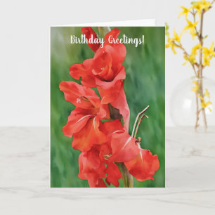 Red Blooming Gladiolus Blume Kunst Geburtstag Karte