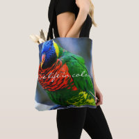 Red Blue Green Bird Foto Live Life (Farbquote)