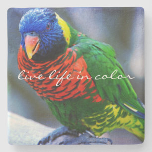 Red Blue Green Bird Foto Live Life (Farbquote) Steinuntersetzer