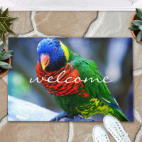 Red Blue Green Bird Foto Niedlich Farbige Begrüßun