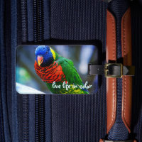Red Blue Green Bird Live Life Quote
