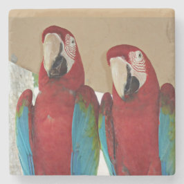 Red Blue Green Macaws Steinuntersetzer