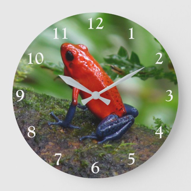 Red & Blue Poison Dart Frosch Große Wanduhr (Vorderseite)