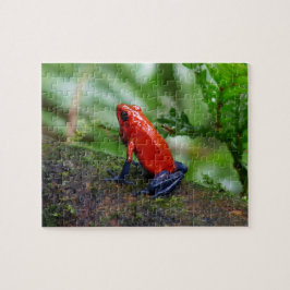 Red & Blue Poison Dart Frosch Puzzle