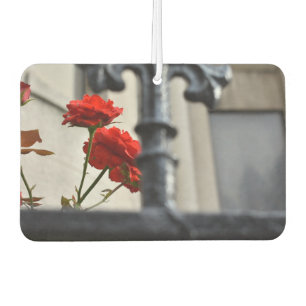 Red Blume Iron Gate New York City Fotografy NYC Autolufterfrischer
