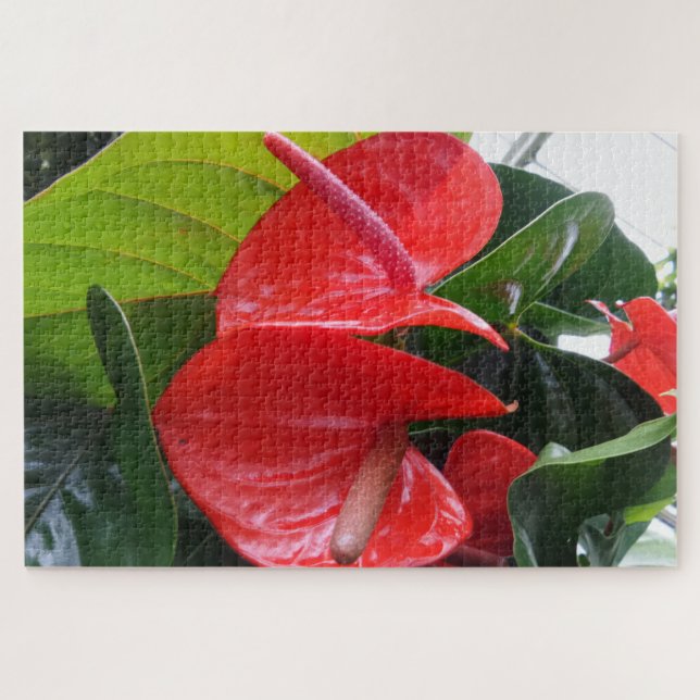 Red Blume Jigsaw Puzzle (Horizontal)