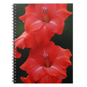 Red Blume Journal-Notebook Notizblock