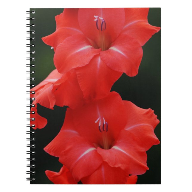 Red Blume Journal-Notebook Notizblock (Vorderseite)