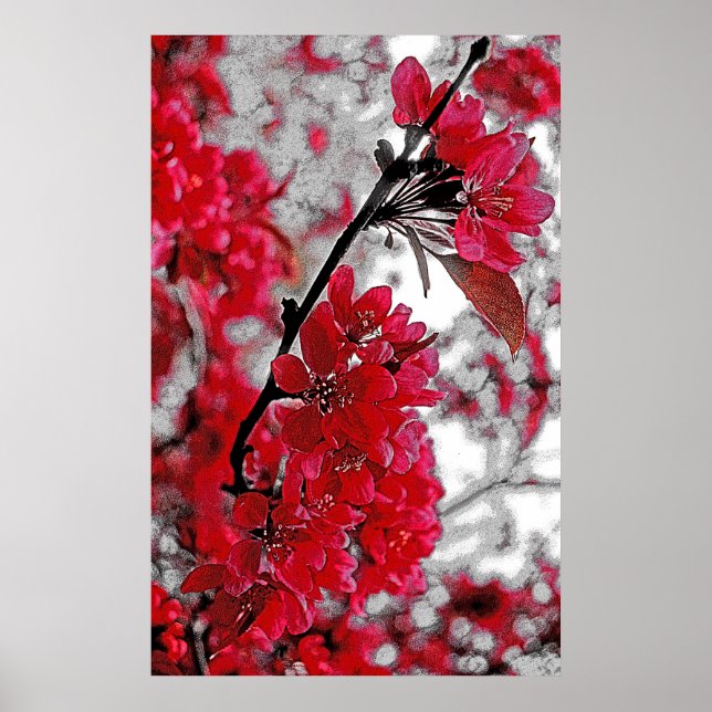 Red Blume Poster - Hellgrauer Hintergrund (Vorne)