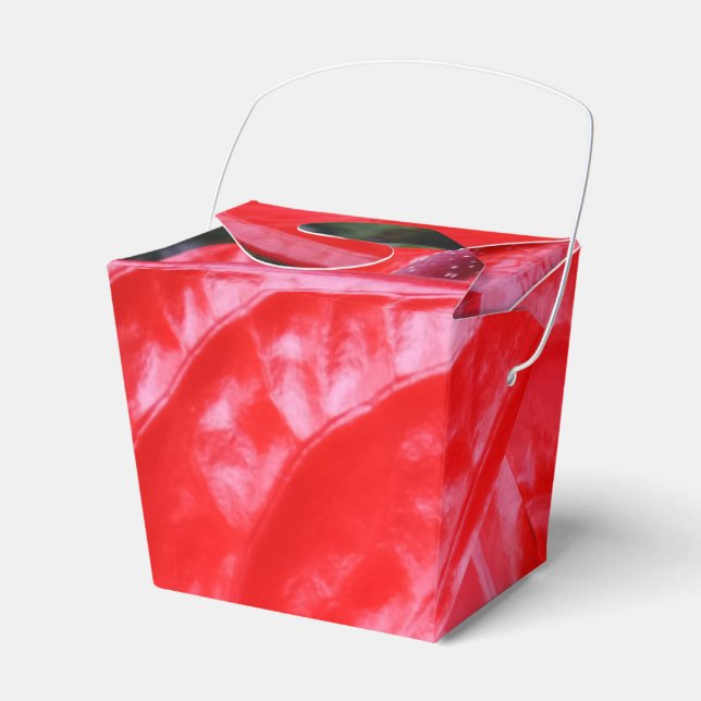Red Blume Take Out Gevor Box Geschenkschachtel (Vorderseite)