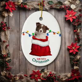 Red Border Collie Puppy in Holiday Gift Bag Keramik Ornament