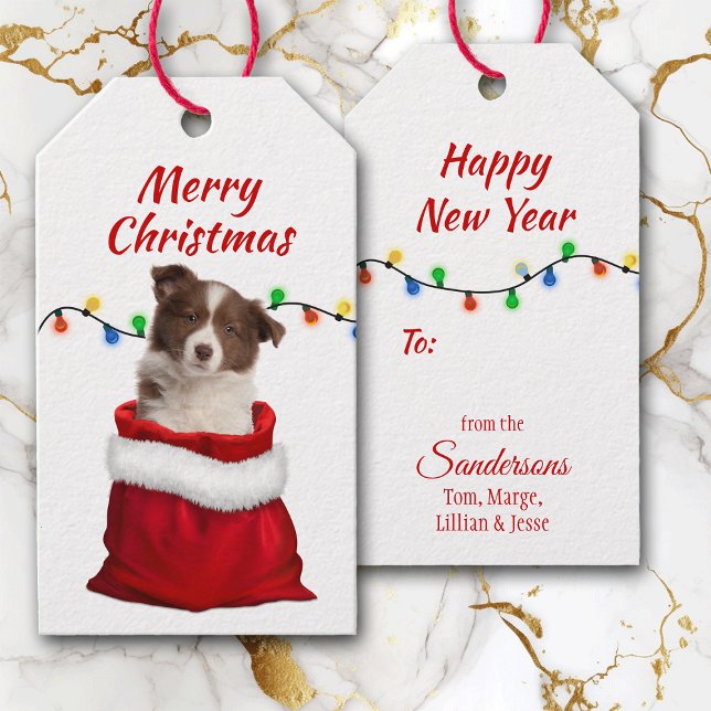 Red Border Collie Puppy in Santa Bag Geschenkanhänger (Von Creator hochgeladen)