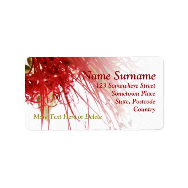 Red Bottlebrush-Blume Adressaufkleber (Vorne)