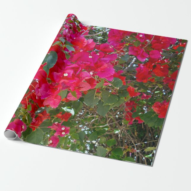 Red Bougainvillea Geschenkpapier (Ungerollt)