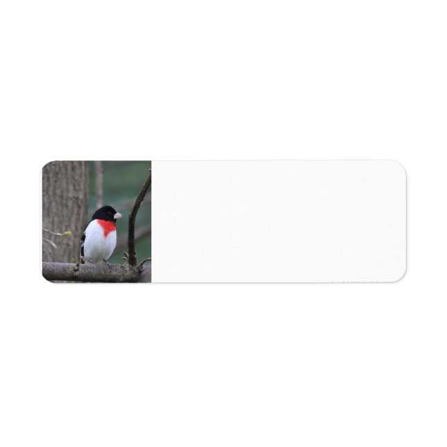 Red Breasted Grosbeak Adressetiketten (Vorne)