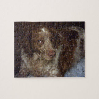 Red Brittany Spaniel dog épagneul breton roux Puzzle