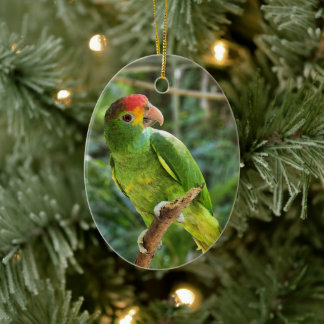 Red Brown Amazon Parrot Keramik Ornament