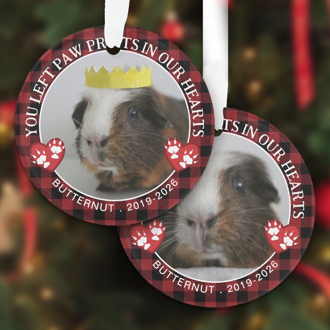 Red Buffalo Karo Paws Guinea Pig Memorial Foto Ornament (Von Creator hochgeladen)
