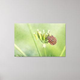 Red Bug - Eine weitere Flasche verletzt nicht Leinwanddruck