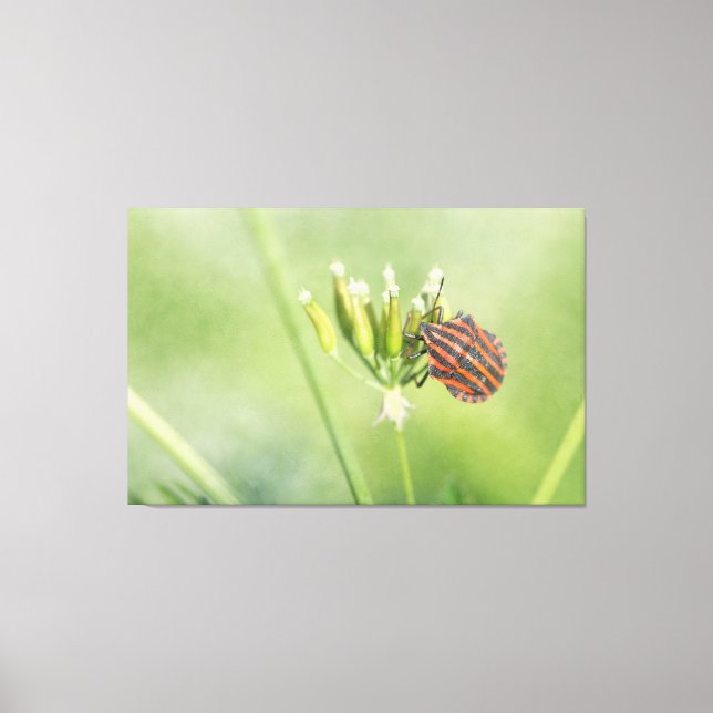 Red Bug - Eine weitere Flasche verletzt nicht Leinwanddruck (Vorderseite)