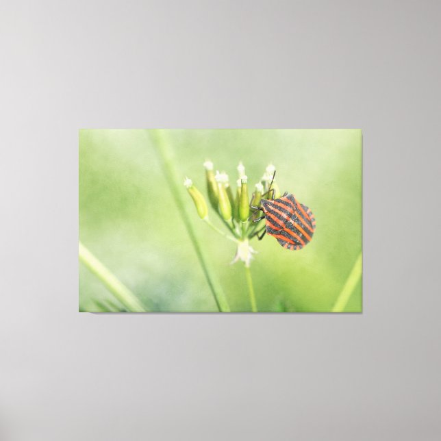 Red Bug - Eine weitere Flasche verletzt nicht Leinwanddruck (Vorderseite)