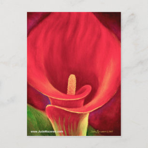 Red Cala Lily Tropical Blume Art - Multi Postkarte