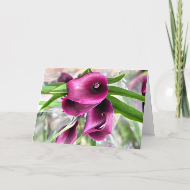 Red Calla Lily Dankeskarte (Vorderseite)