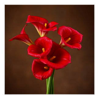 red callas poster