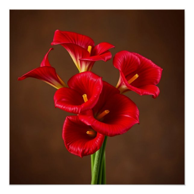 red callas poster (Vorderseite)