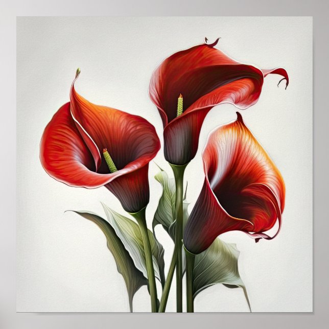 Red Calles Lilies Lily Blume Art Pseudonym Poster (Vorne)