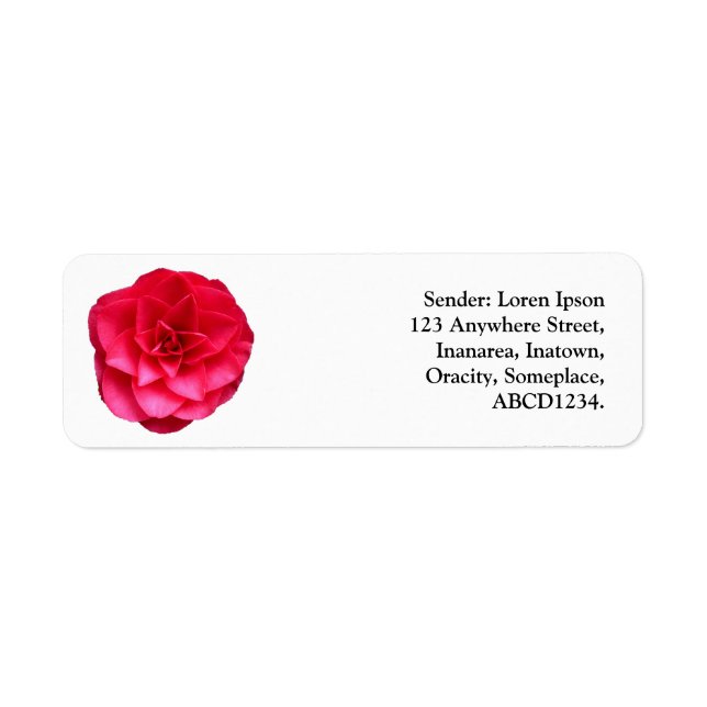 Red Camelia (Vorne)