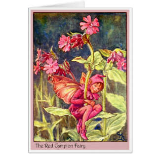 Red Campion Fairy
