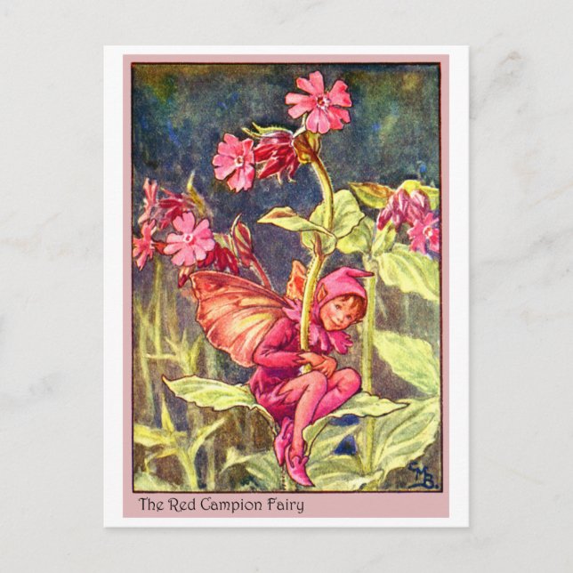 Red Campion Fairy Postkarte (Vorderseite)