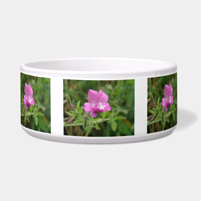 Red Campion Wildblume Hunde Bowl Napf (Vorderseite)