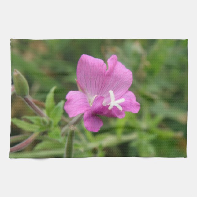 Red Campion Wildblume Küchentücher (Horizontal)