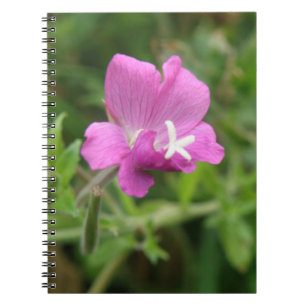 Red Campion Wildblume Notebook Notizblock