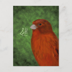 Red Canary Postkarte
