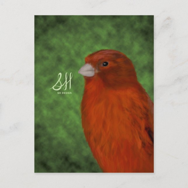 Red Canary Postkarte (Vorderseite)