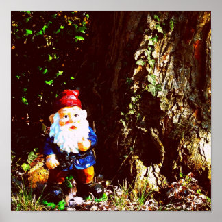 Red Capped Gnome Poster