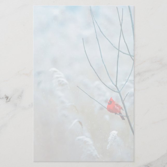 Red Cardinal in Winter Nature Foto von Christmas Briefpapier (Vorderseite)