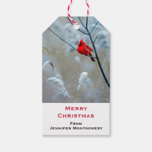 Red Cardinal in Winter Nature Foto von Christmas Geschenkanhänger