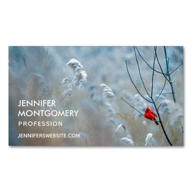 Red Cardinal in Winter Nature Foto von Christmas Magnetische Visitenkarte (Vorderseite)