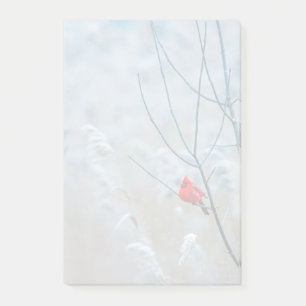 Red Cardinal in Winter Nature Foto von Christmas Post-it Klebezettel