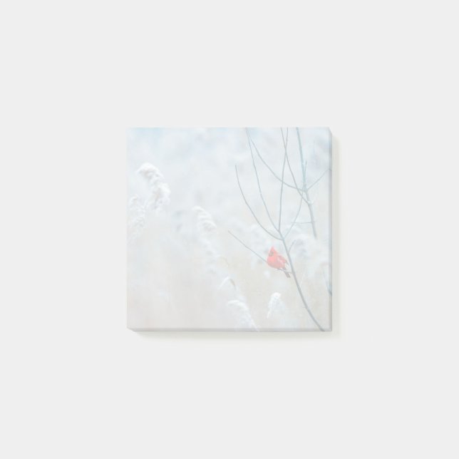 Red Cardinal in Winter Nature Foto von Christmas Post-it Klebezettel (Vorderseite)