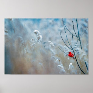 Red Cardinal in Winter Nature Foto von Christmas Poster